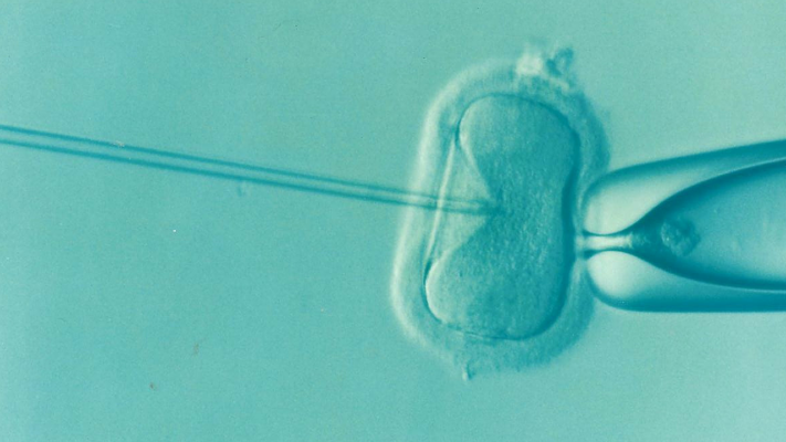 ivf australia